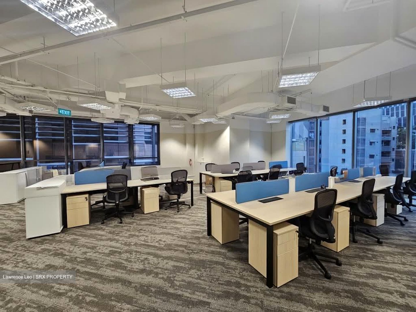 PLUS (D1), Office #559033911